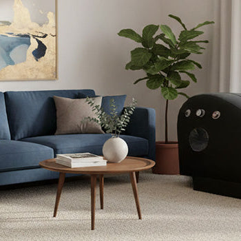 Sleek black hyperbaric oxygen chamber in a bright, modern therapy room with minimalist furniture and large window views of greenery.