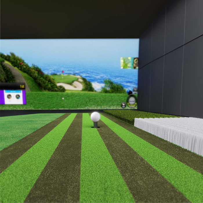 Perspective from tee-off mat of Golfzon Vision Standard T2 golf simulation.