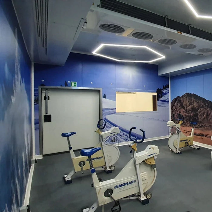 Hypoxico Full Climate Hypoxic Chamber interior with Monark exercise bikes, hexagonal LED ceiling lights, and floor-to-ceiling alpine mountain landscape murals.
