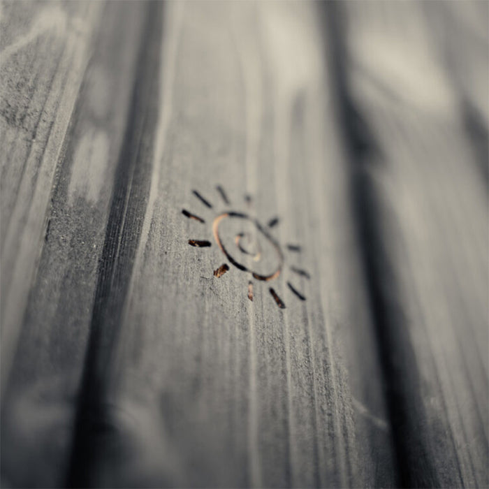 Brushed timber exterior wall of the Jonas Classic outdoor sauna with subtle engraved sun emblem detail.