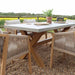 A close-up view of the rope chairs and concrete table, displaying the beautiful contrast between natural wood, concrete, and woven rope.