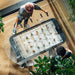 Overhead view of RS Barcelona RS2 Dining football table with glass top, two people playing foosball beneath transparent surface in stylish indoor setting with plants.