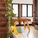 RS Barcelona RS4 Home football table in brown with wooden legs placed in a modern loft style living space.