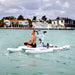 Rider using a Schiller S1-C Water Bike on calm coastal water near the shore.