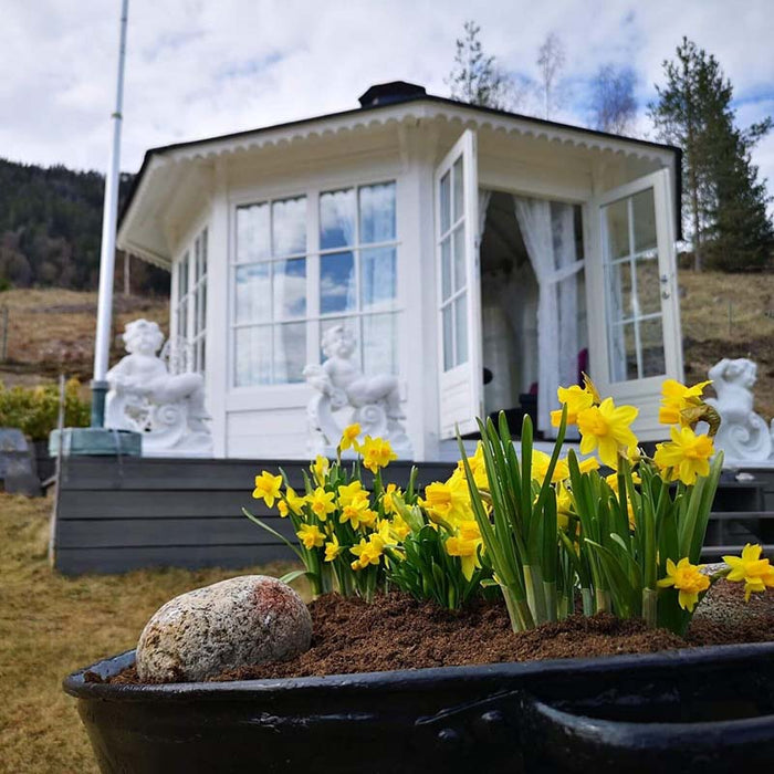 Outdoor view of the Pavilion 10m² Sun with white glass-panelled walls and open double doors, surrounded by scenic hills and vibrant yellow daffodils in the foreground.